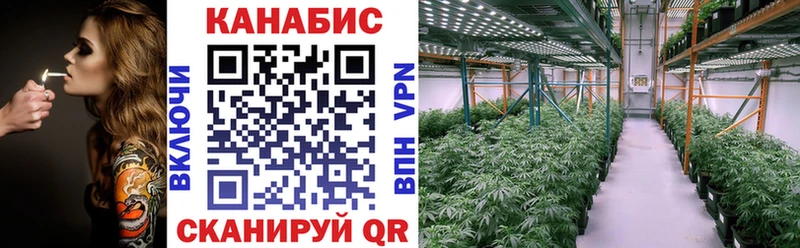 Каннабис MAZAR  Иннополис 